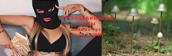 СК Магас