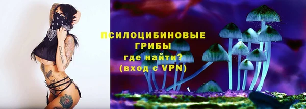 эйфоретик Липки