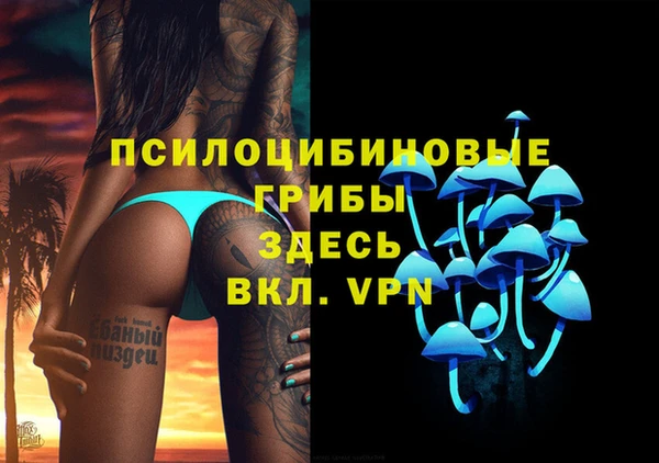 спиды Лиски