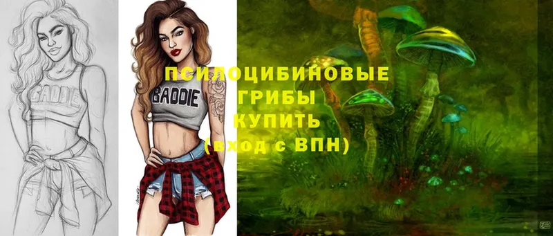 Псилоцибиновые грибы ЛСД  Нововоронеж 