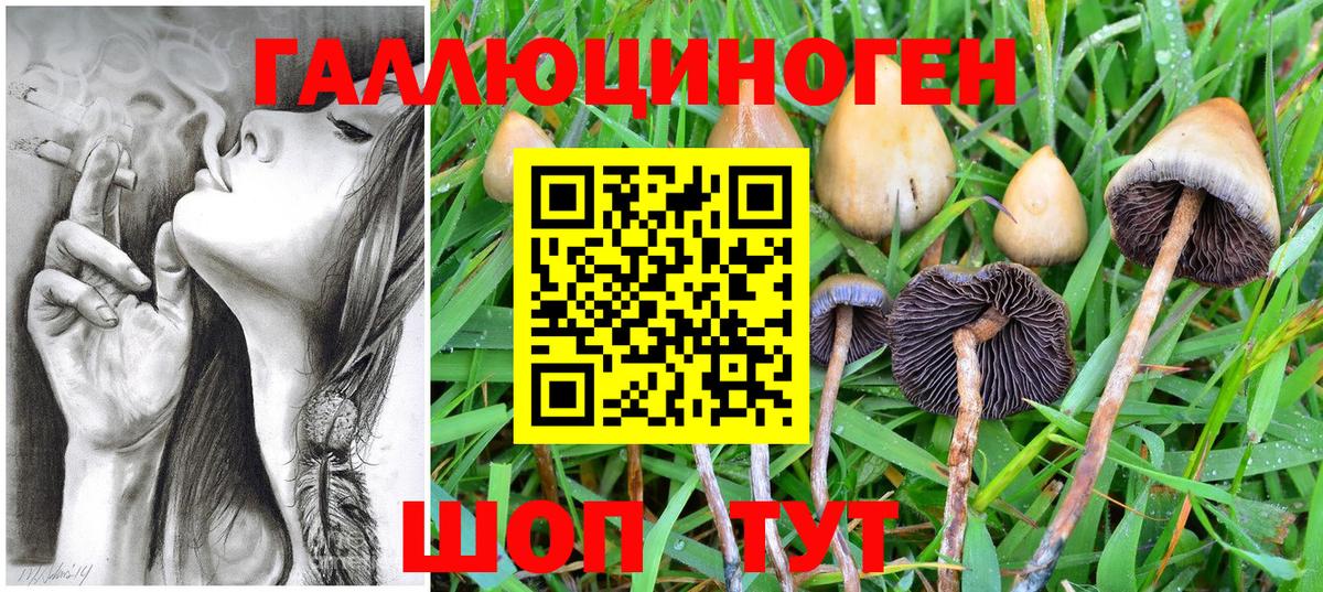 Галлюциногенные грибы ЛСД  Вход с VPN  Галлюциногенные грибы мицелий  Нововоронеж 